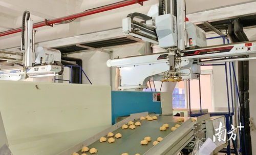 点燃新引擎 英德钢结构制造业绘就工业转型发展蓝图